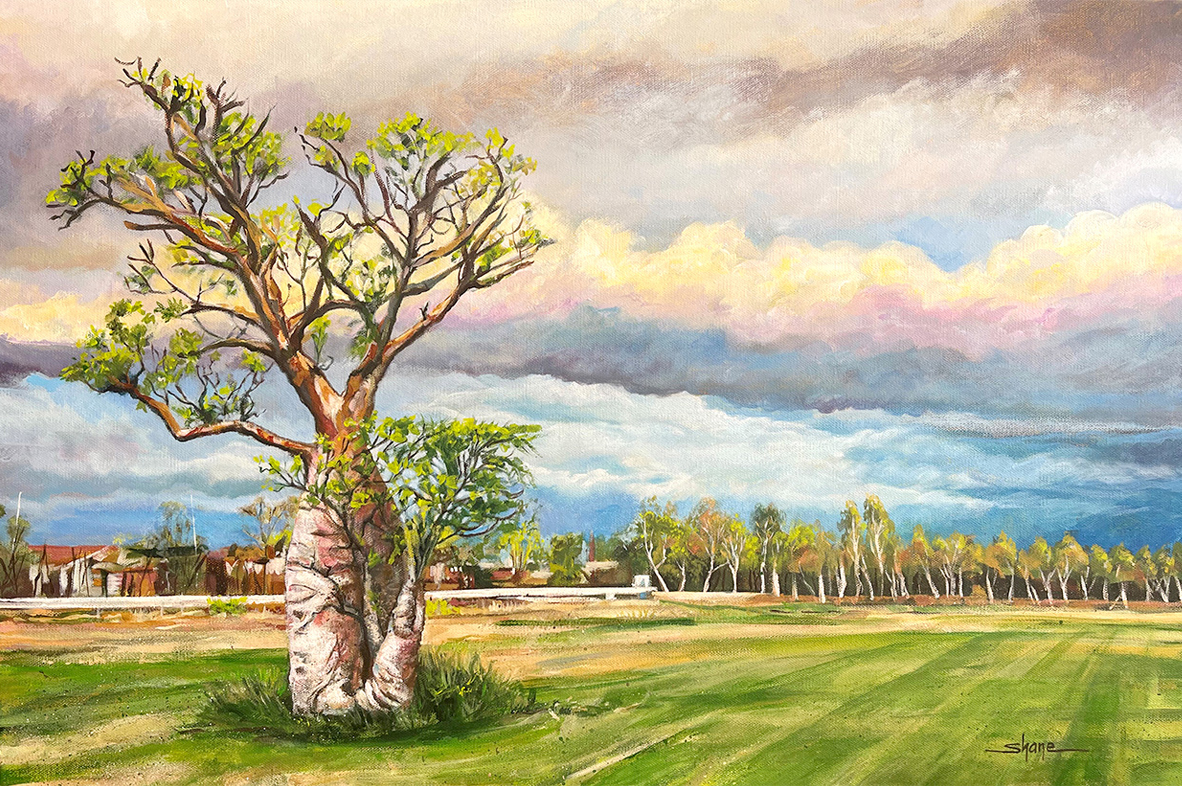 Boab Before the Storm, Derby - 2023