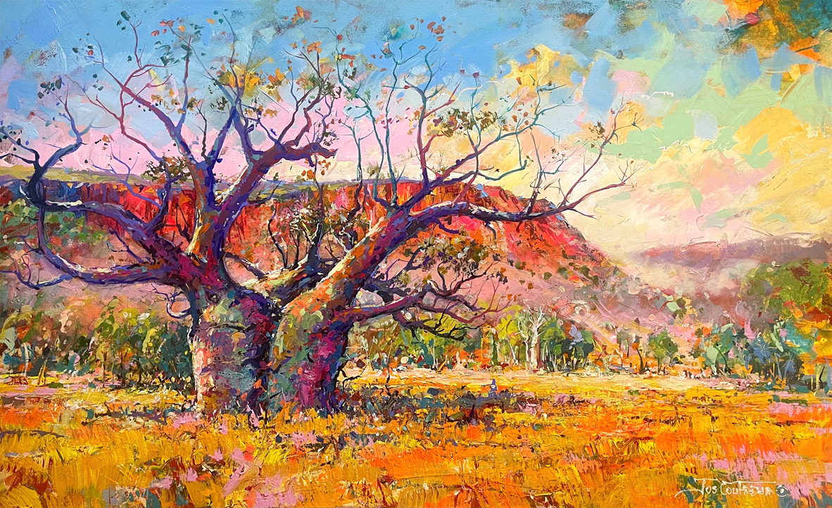 Boab Tree at Cockburn Ranges - 2023