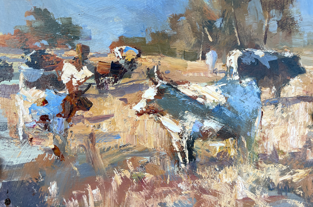 Cow Study - 2021