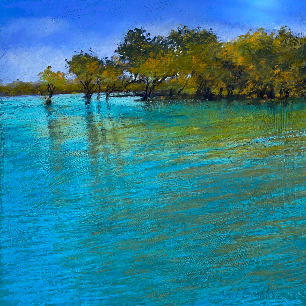 Cygnet Bay Reflections - 2023