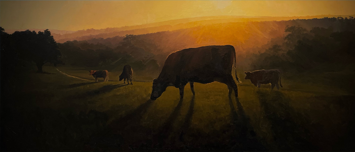 Late Afternoon Graze, Yallingup - 2023