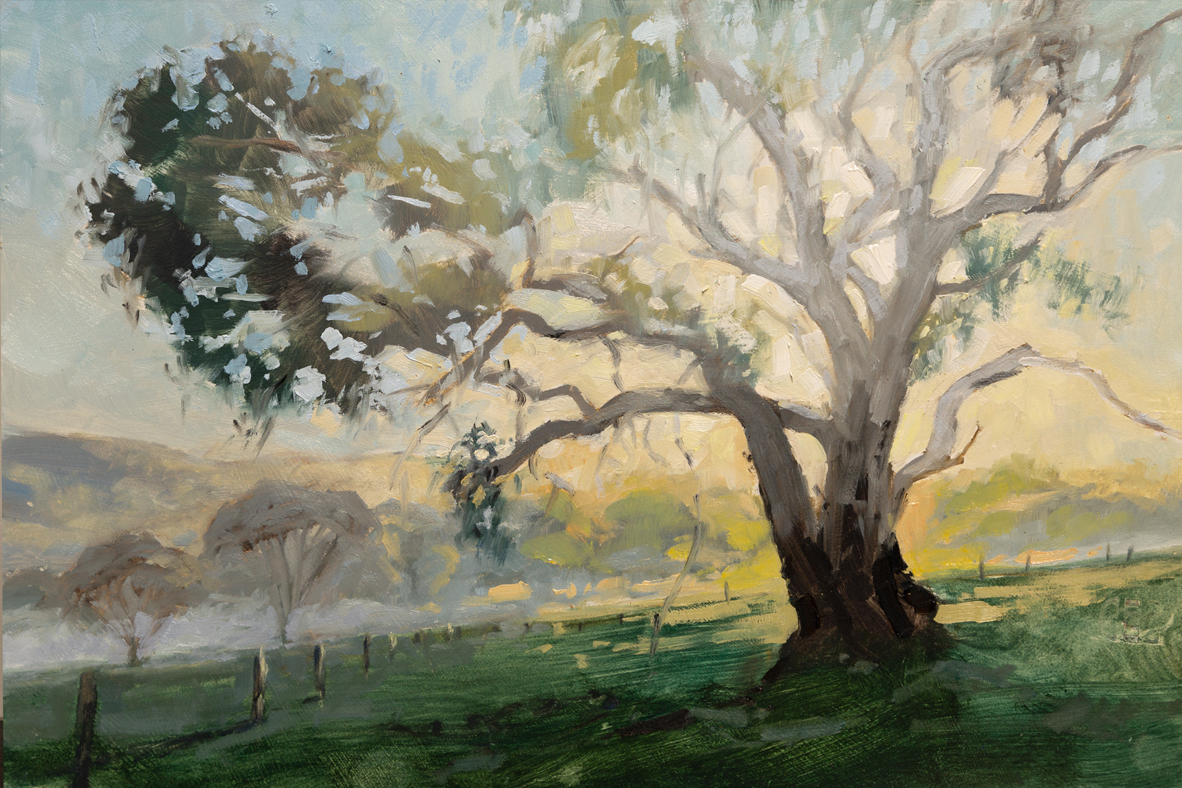 Misty Dawn, Buckland - 2023