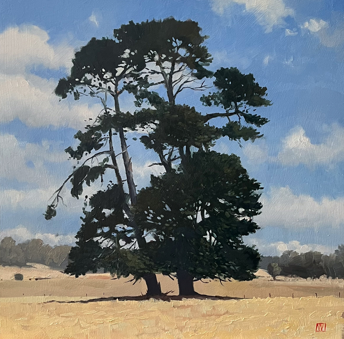 Western Junction Pine - 2023