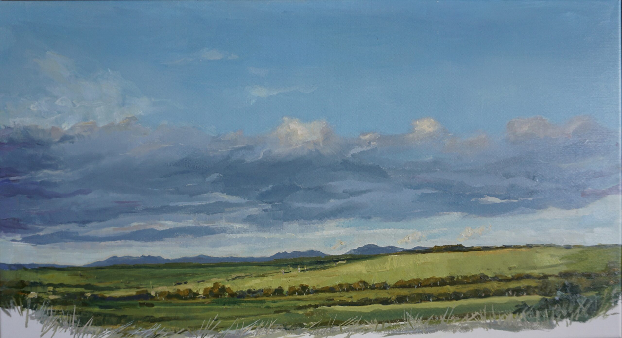 Jo Wesley, Winter Green