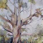 John Bullock, Under an Ageing Gum