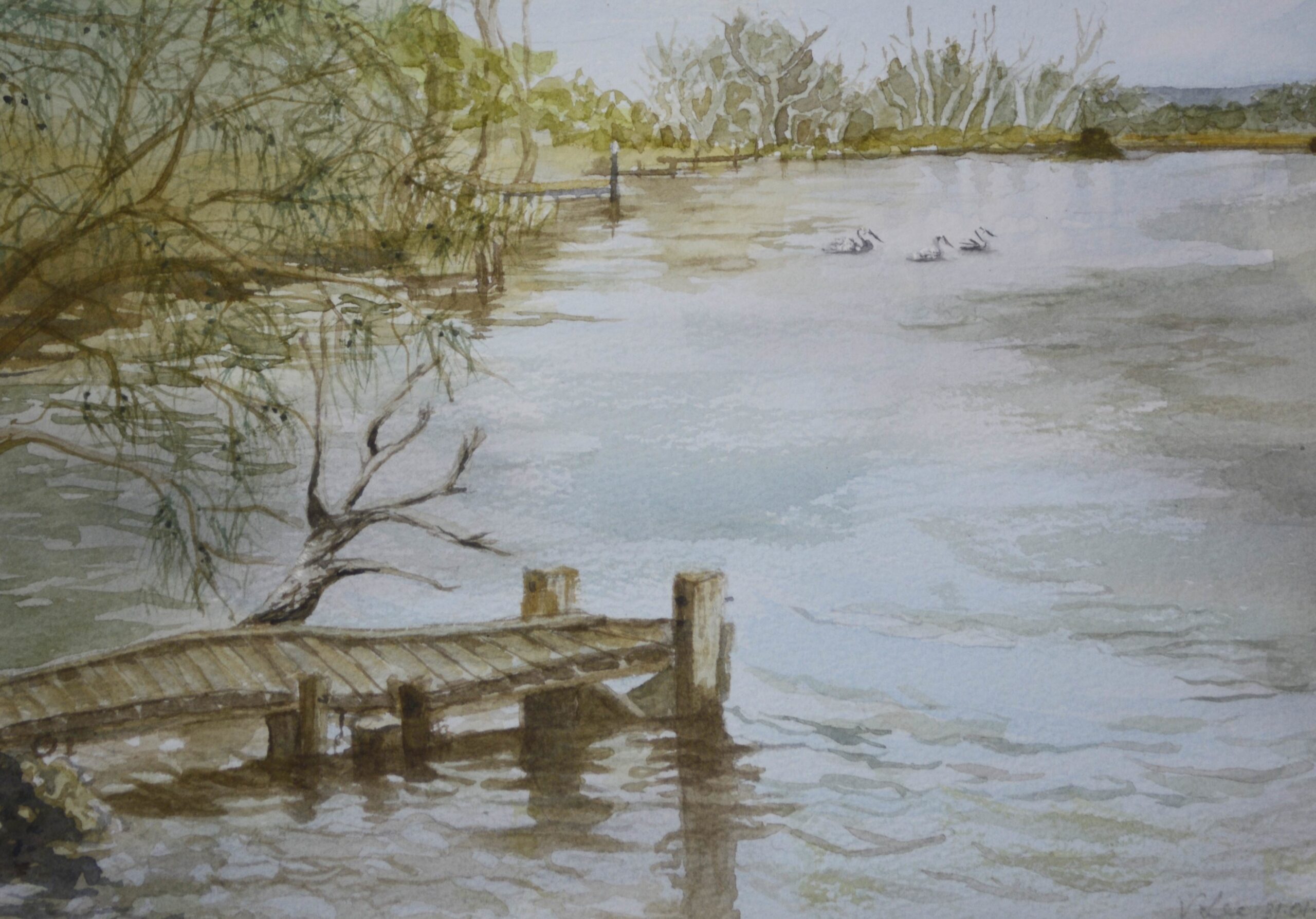 Vicki Lee, Riverside Gardens